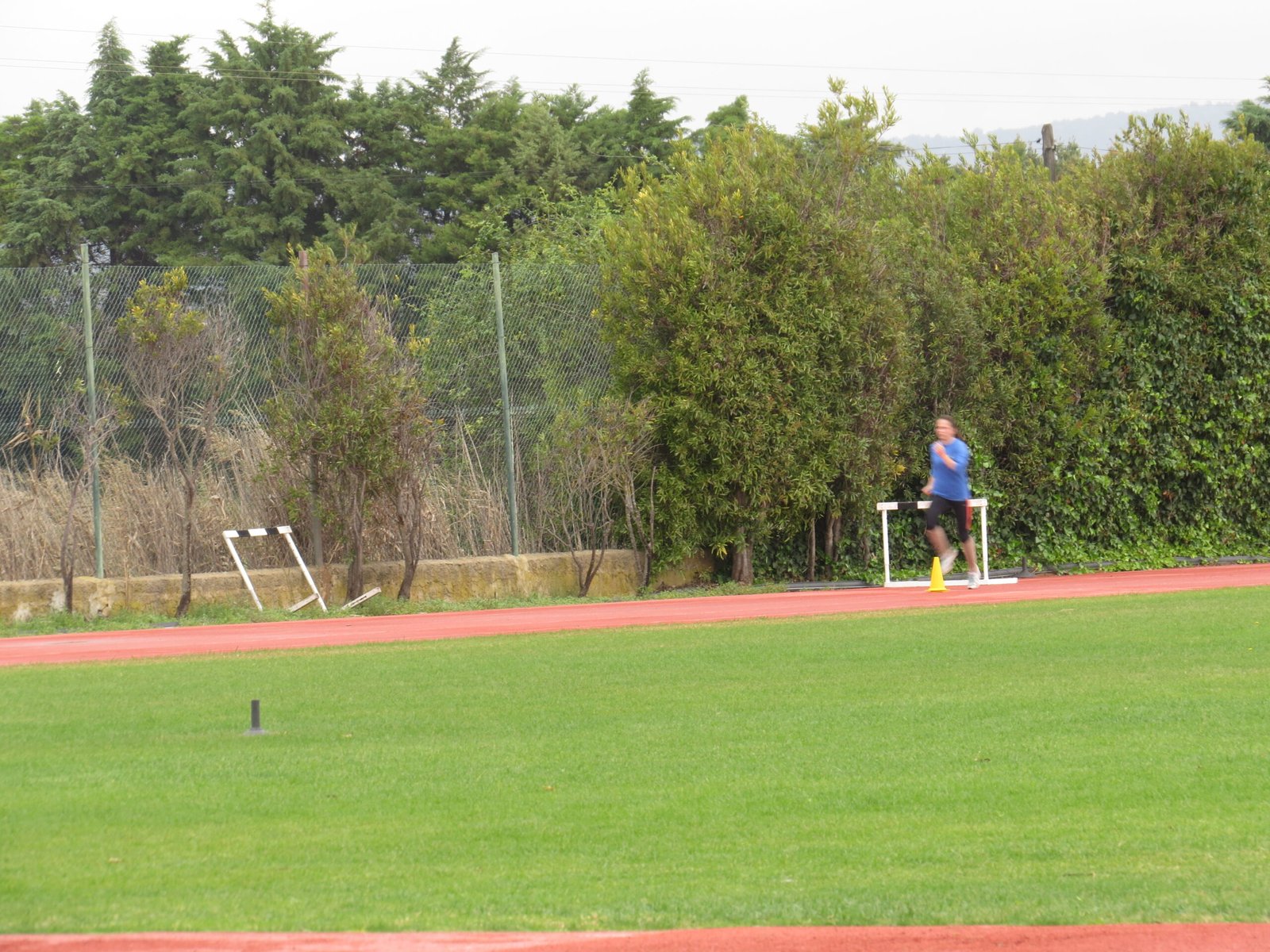 Athletic camp Alfamar – training environment